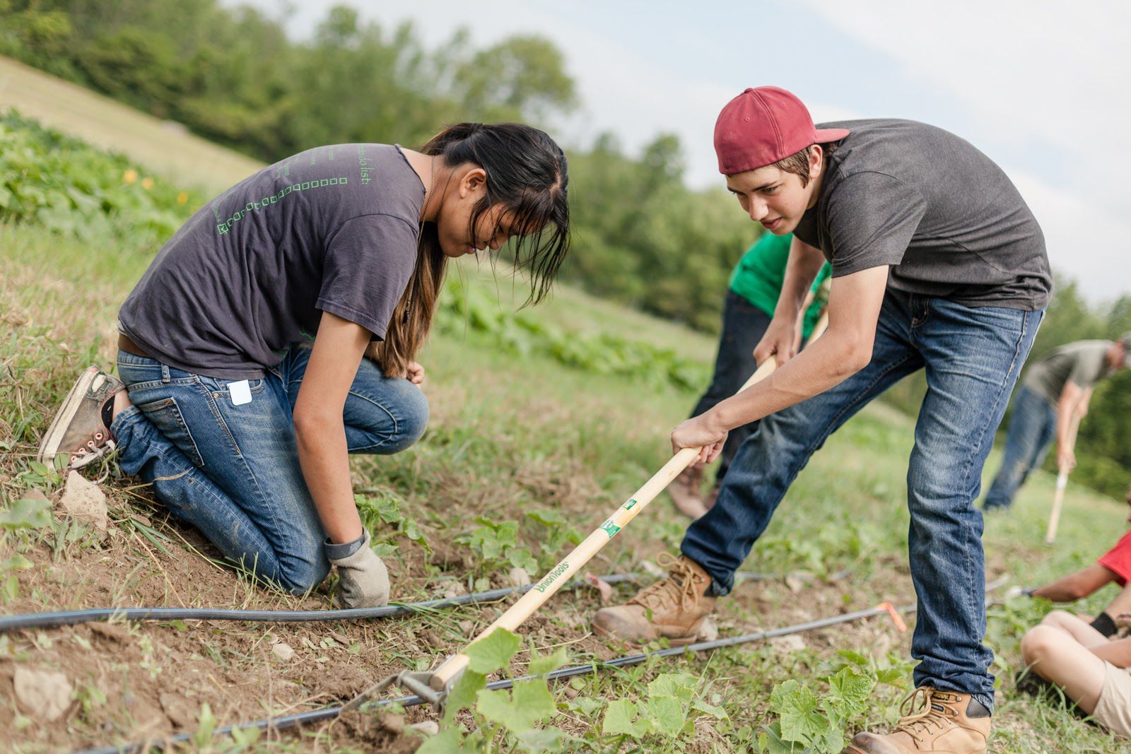 Youth Farm Project
